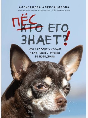 Пес его знает! Что в голове у собаки, и как понять причины ее поведения