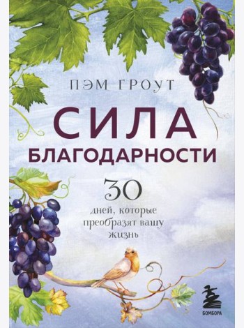 Сила благодарности. 30 дней, которые преобразят вашу жизнь