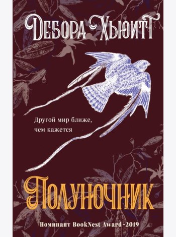 Полуночник