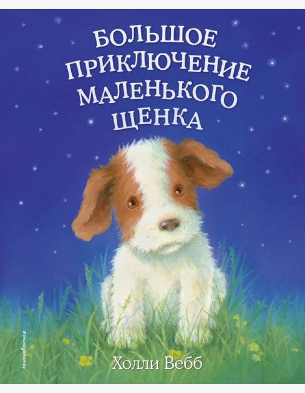 Большое приключение маленького щенка (выпуск 1)