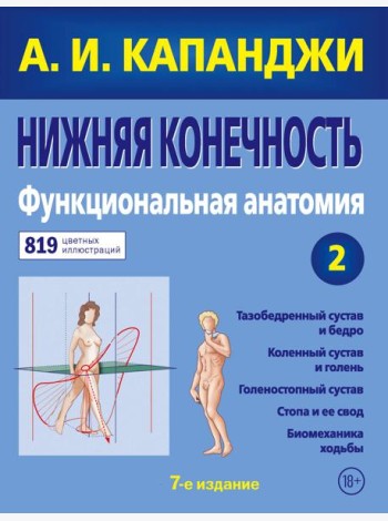 Нижняя конечность. Функциональная анатомия. Т. 2. 7-е изд