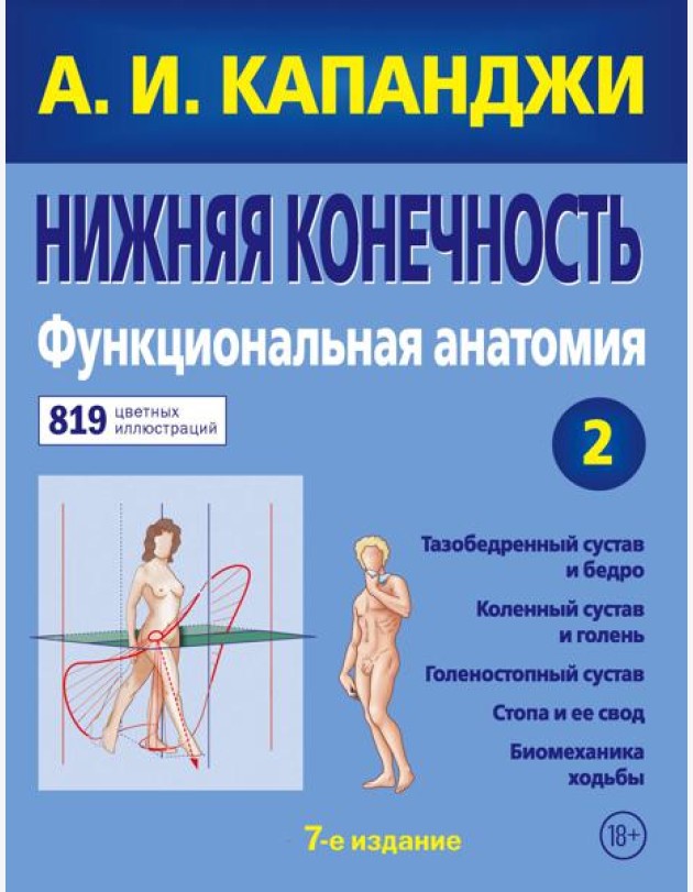 Нижняя конечность. Функциональная анатомия. Т. 2. 7-е изд
