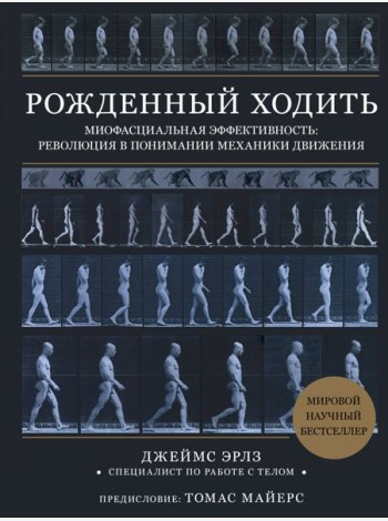 Рожденный ходить. Миофасциальная эффективность: революция в понимании механики движения