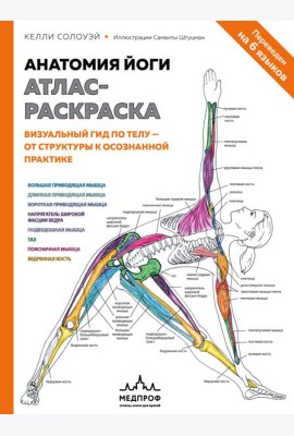Анатомия йоги: атлас-раскраска. Визуальный гид по телу — от структуры к осознанной практике