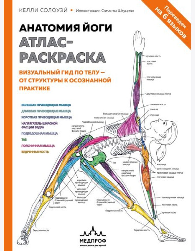 Анатомия йоги: атлас-раскраска. Визуальный гид по телу — от структуры к осознанной практике