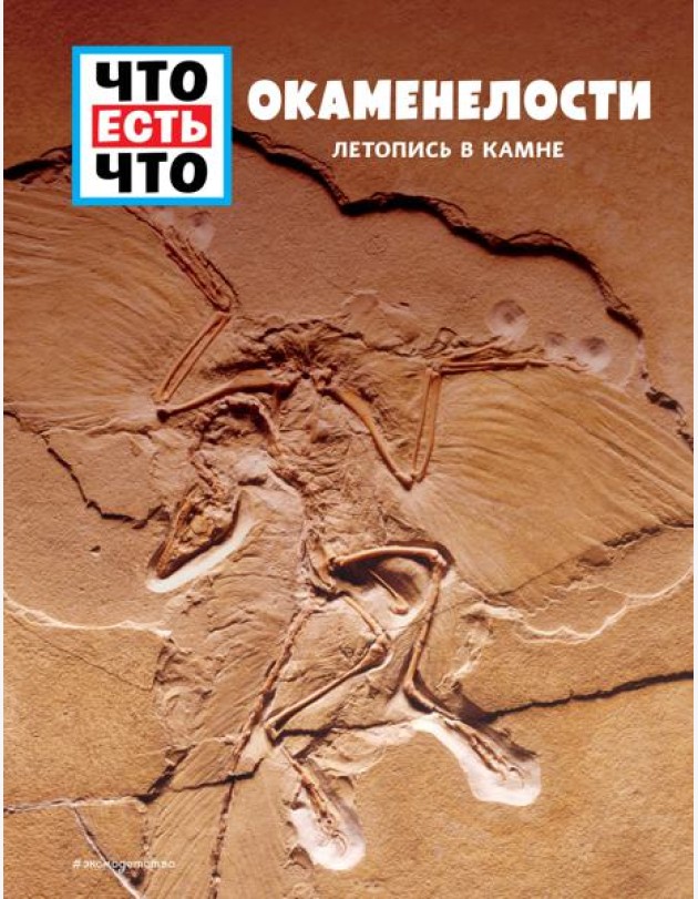 ОКАМЕНЕЛОСТИ. Летопись в камне