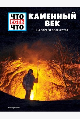 КАМЕННЫЙ ВЕК. На заре человечества