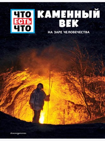 КАМЕННЫЙ ВЕК. На заре человечества