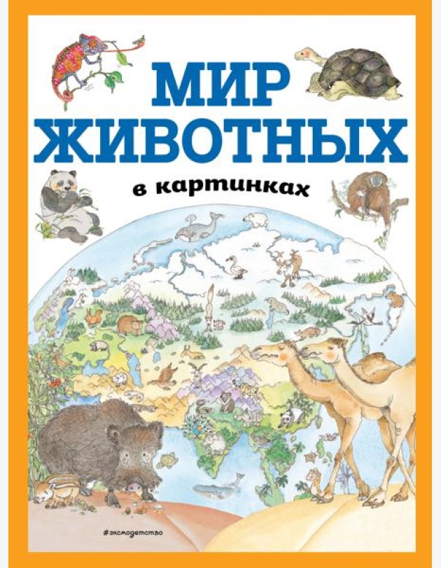 Мир животных в картинках