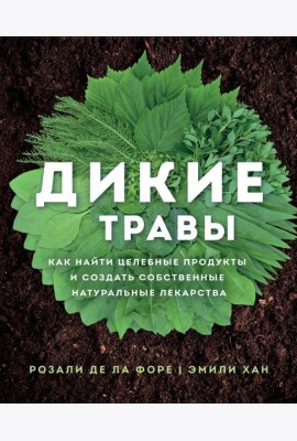 Дикие травы: как найти целебные продукты и создать собственные натуральные лекарства