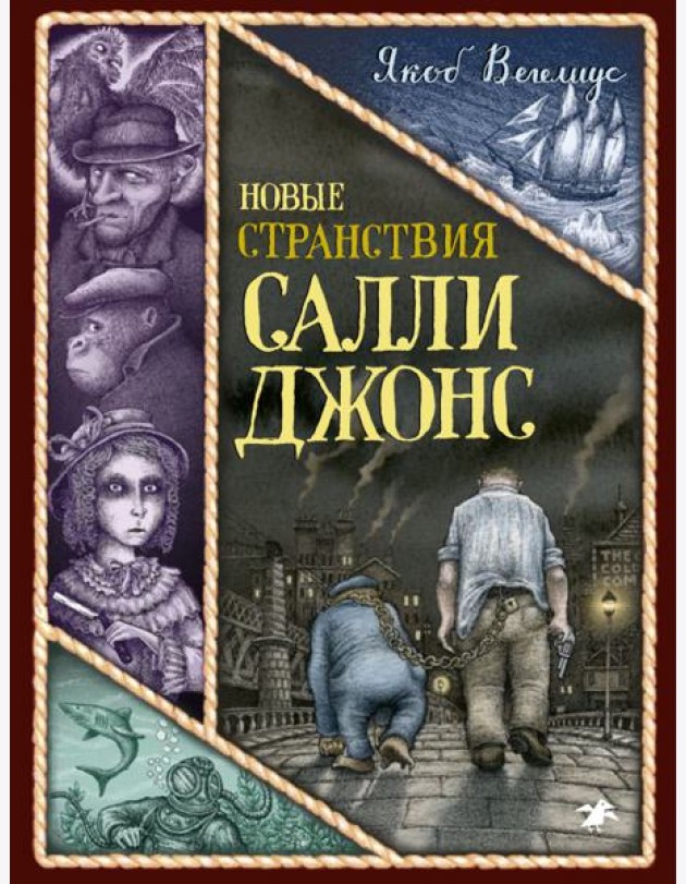 Новые странствия Салли Джонс