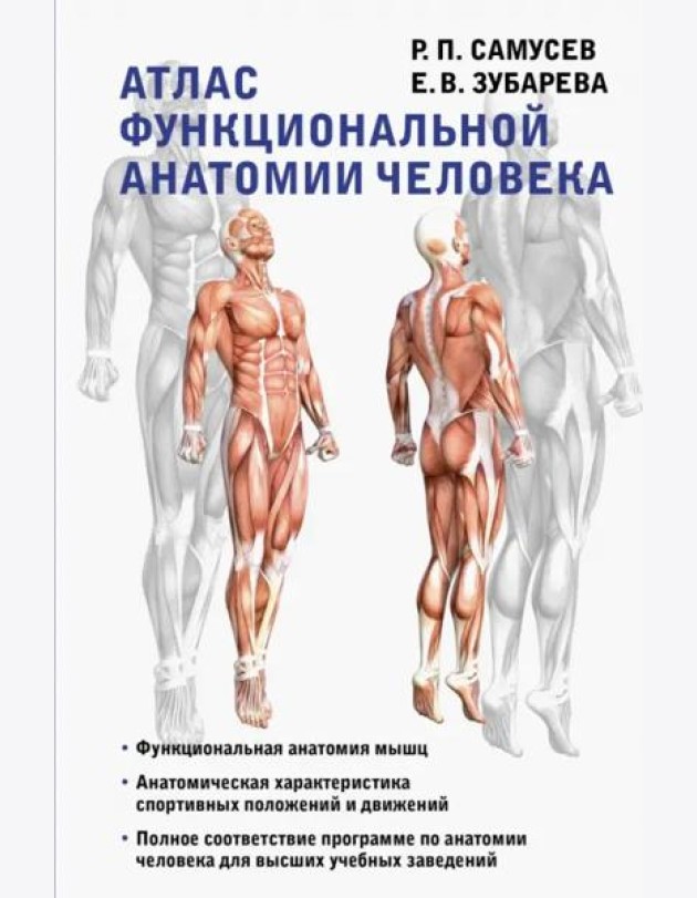 Атлас функциональной анатомии человека. Учебное пособие