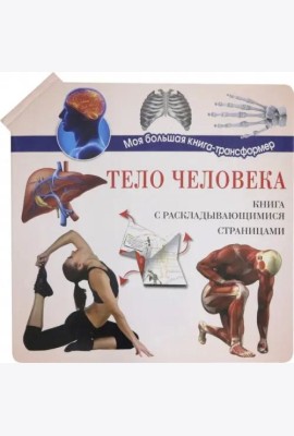 Тело человека