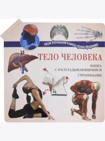 Тело человека