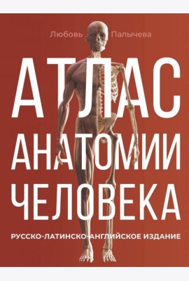 Атлас анатомии человека. Русско-латинско-английское издание