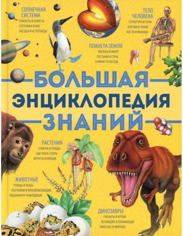 Большая энциклопедия знаний (желтая)