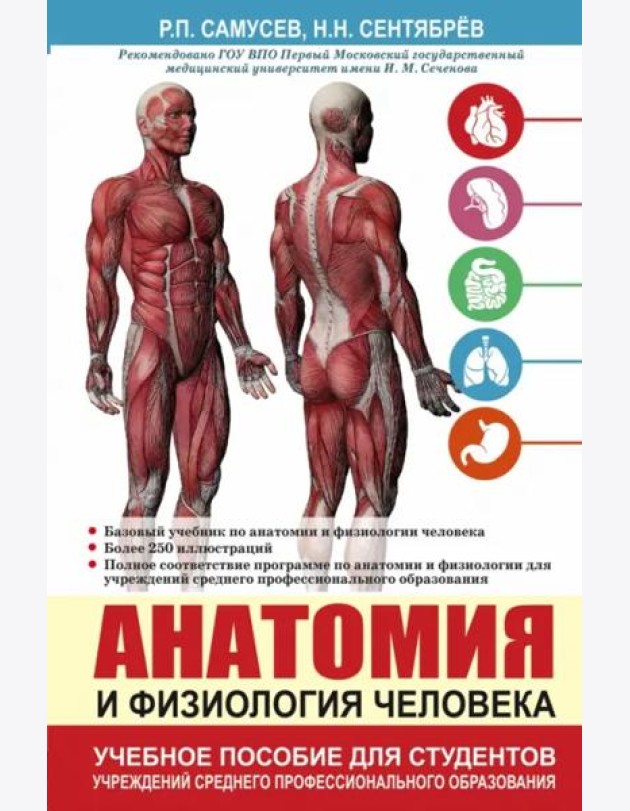 Анатомия и физиология человека. Учебное пособие