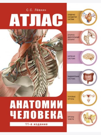Атлас анатомии человека