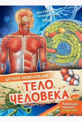 Тело человека