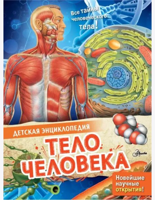 Тело человека