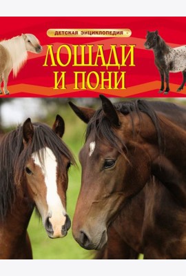 Лошади и пони