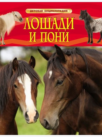 Лошади и пони