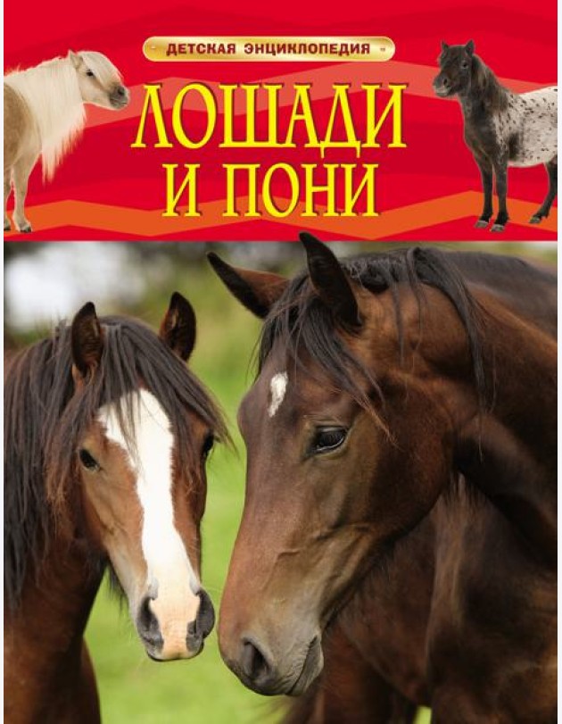 Лошади и пони