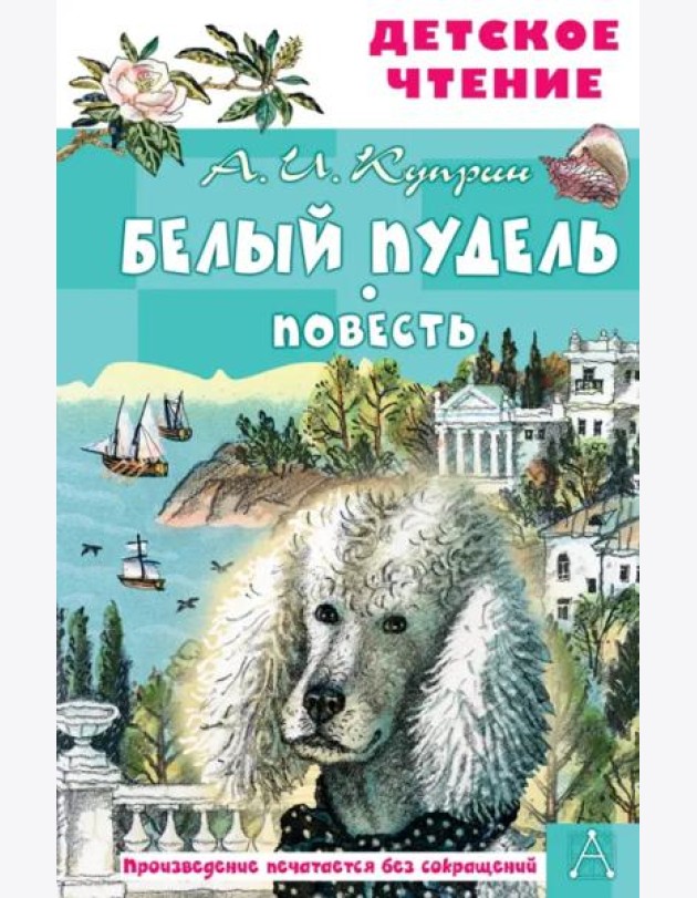 Белый пудель