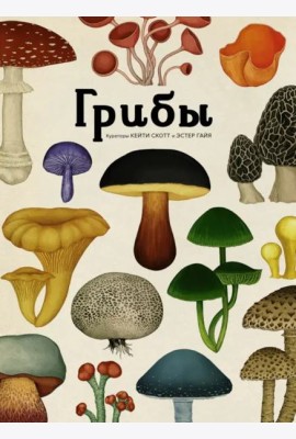 Грибы