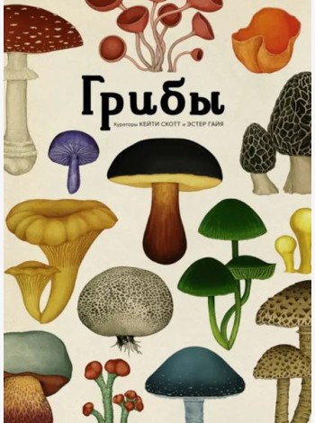 Грибы