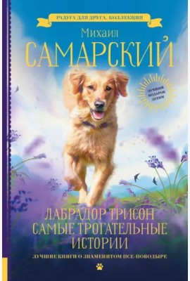 Лабрадор Трисон. Самые трогательные истории