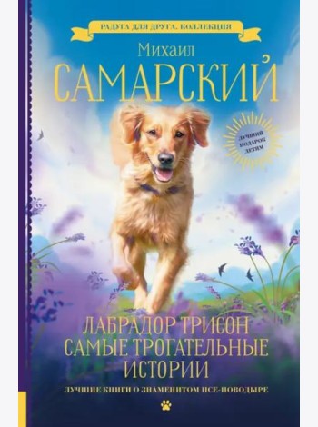 Лабрадор Трисон. Самые трогательные истории