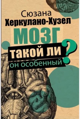 Мозг. Такой ли он особенный?