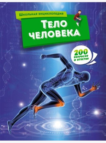 Тело человека