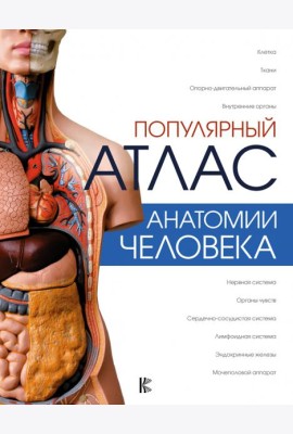 Популярный атлас анатомии человека