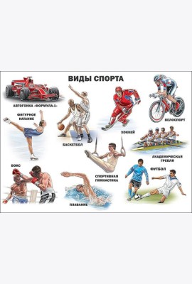 Виды Спорта