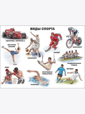 Виды Спорта