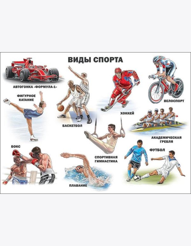Виды Спорта