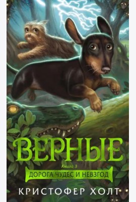 Верные. Кн. 3. Дорога чудес и невзгод