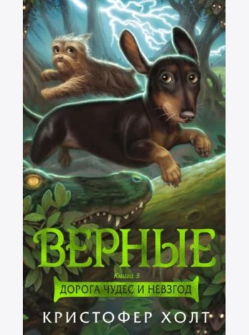 Верные. Кн. 3. Дорога чудес и невзгод