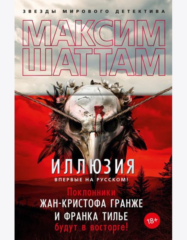 Иллюзия: роман