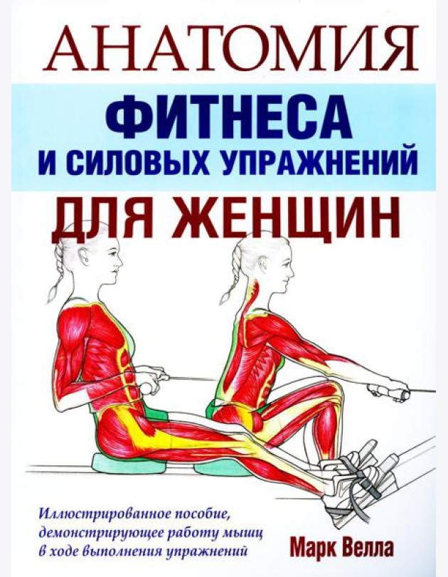 Анатомия фитнеса и силовых упражнений для женщин