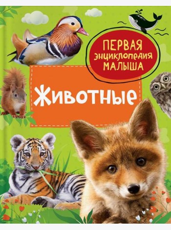Животные. Первая энциклопедия малыша