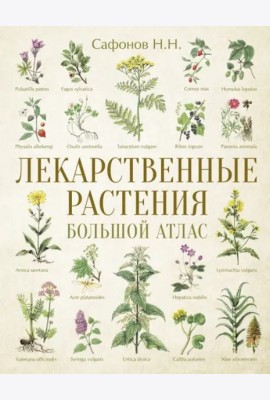 Лекарственные растения. Большой атлас