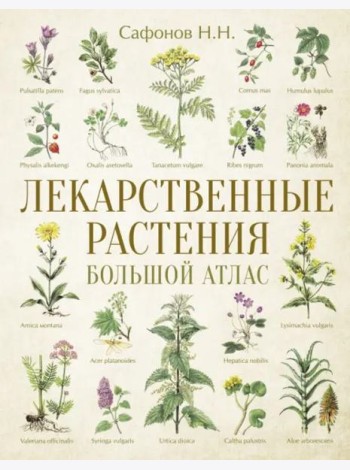 Лекарственные растения. Большой атлас