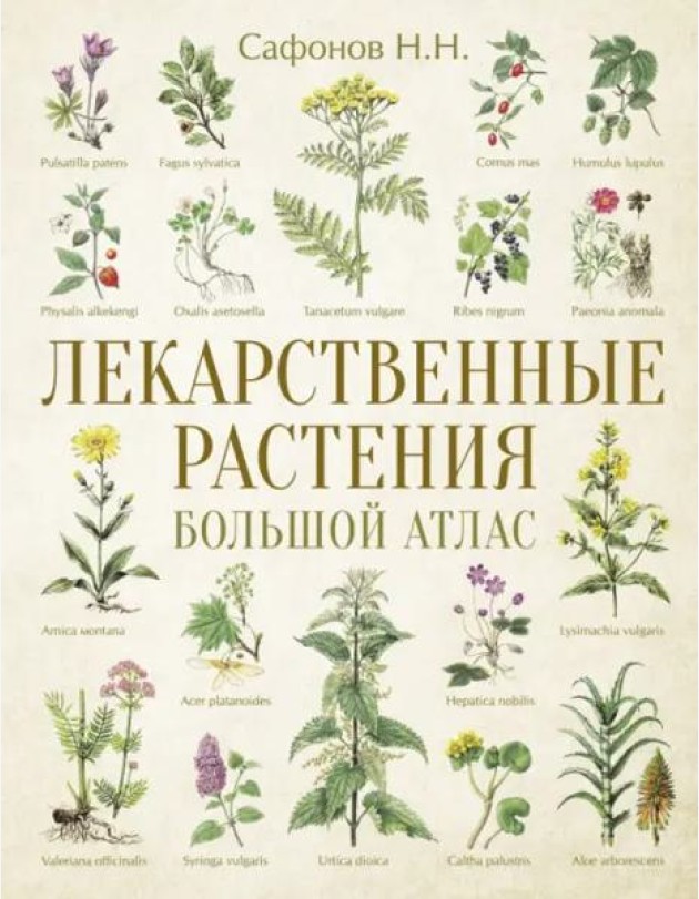 Лекарственные растения. Большой атлас