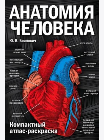 Анатомия человека: компактный атлас-раскраска