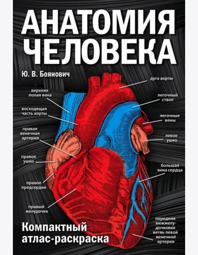 Анатомия человека: компактный атлас-раскраска