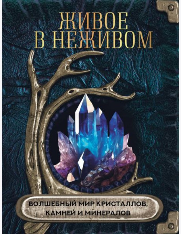 Живое в неживом. Волшебный мир кристаллов, камней и минералов