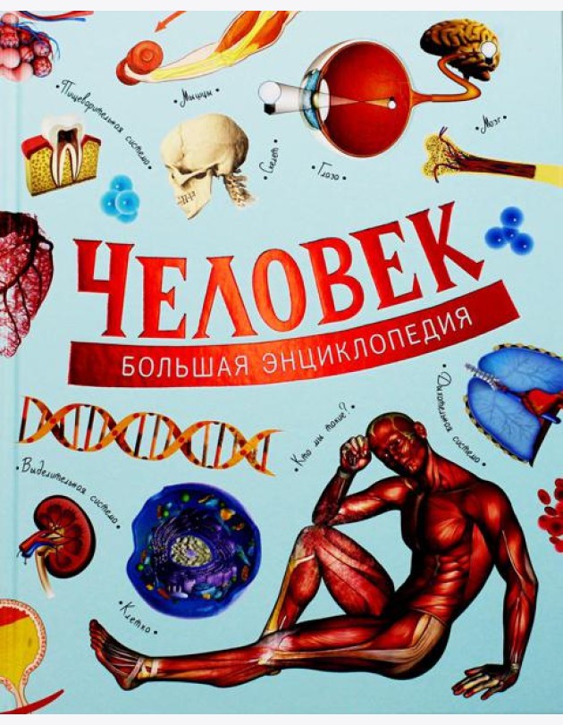 Человек. Большая энциклопедия